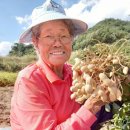 약초마을 이미지