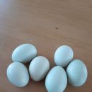 중화마을 이미지