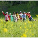 언제나 봄약국 이미지