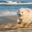 멍스테이션 이미지