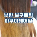 헤어팜 - 오산시 원당로 35 | 부산 복구매직 잘하는 복구매직 전문점!! 아쿠아헤어팜