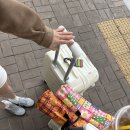 세영수산(주) | *STJ 둘의 무계획 5월 제주 여행 1일차