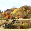 오직 지금 시기에만 볼 수 있는 풍경…. 11월 놓치면 후회할 명소 5곳 이미지