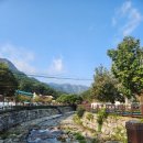 UR(공주시)-[동학사1로]-상-11 | [등산] 25년10월11일 공주 계룡산 관음봉 최단코스(동학사 코스) with 상경