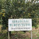 강정동-79 이미지