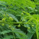 국보환경(주) - 2908 | 국보환경(주)