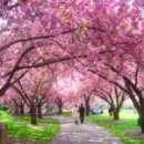 메가플러스학원 이미지