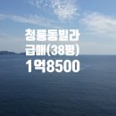청룡동-38 네이버블로그
