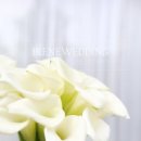 잎새달