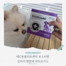 펫가드 | 부스터펫 바이오가드, 루이도 잘 먹은 배변&면역 영양제 후기