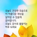 마음이 머무는곳에~~~ 이미지