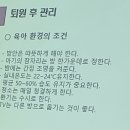 스마트폰 사진교실2 | 밝은미래산부인과 산모교실 2부 아기목욕방법,기저귀가는방법,속싸개하는방법 후기