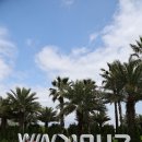 우정렌트카 | 제주렌트카 우정 여행 떠나기 전, 친구끼리 꼭 확인할 것은? 🚗