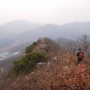 월랑월랑 이미지