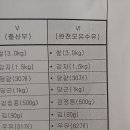 영양플러스짐 네이버블로그