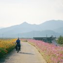 주남저수지 이미지