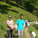 데미샘꿈그린 이미지