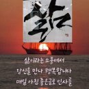 김 행정사 네이버블로그