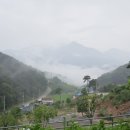 오도산 관광농원 이미지