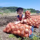 딸기엄마양파아빠 이미지