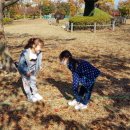 시립배곧이지더원2차어린이집 이미지