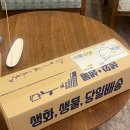 가성비 생화 꽃다발 택배 추천 레비에블룸 후기