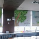 좌천초등학교 이미지