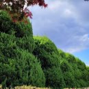 엄궁공인중개사사무소 이미지