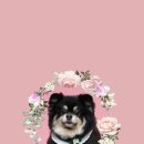 내손으로 만드는 우리옷 이미지