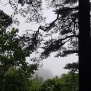 김용근 농장 이미지