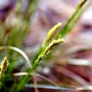 이마당약수터 이미지