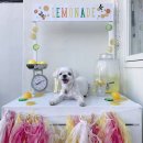 오파프부산 이미지