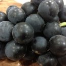 흥원농장 이미지