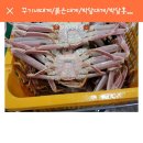 숙자초장