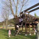 부여 서울농장 이미지