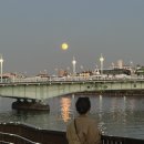 국세청앞 이미지