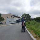 도담칼국수 이미지