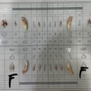 바스텟고양이병원 이미지