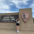 해피트리공원 테니스장 | [LA 라스베가스 신혼여행] 2일차 조슈아트리 국립공원 투어