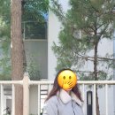 빼꼼슈즈