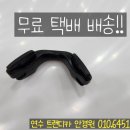 트랜디카안경원 이미지