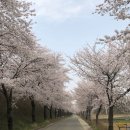 달성군유가면한정보건진료소 이미지