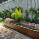 새천년로 이미지