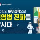 강아지본부 네이버블로그