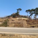 노송부동산 이미지