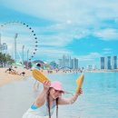 동해바다 이미지