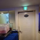 스펀지실내낚시카페 이미지