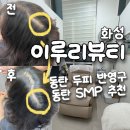이루리 | [화성 이루리뷰티] 화성 두피반영구 잘하는 곳 / 가르마SMP 후기