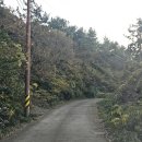 곤우선착장 이미지