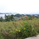 약산면-3 이미지